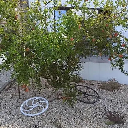 Casa Do Chao Do Cruzeiro *