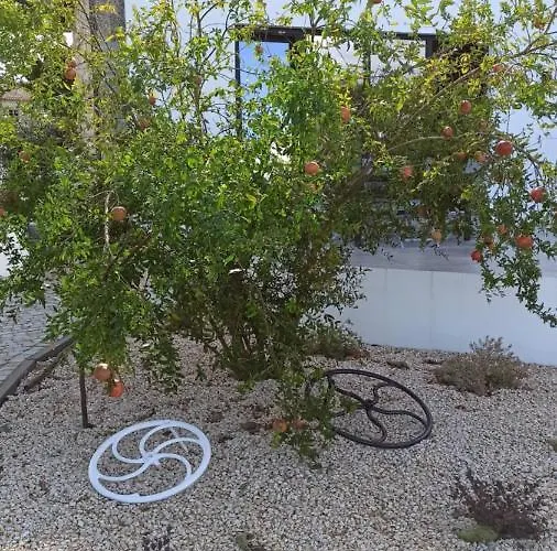 Casa Do Chao Do Cruzeiro *